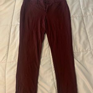 SEVEN7 Maroon Stretch Pants
